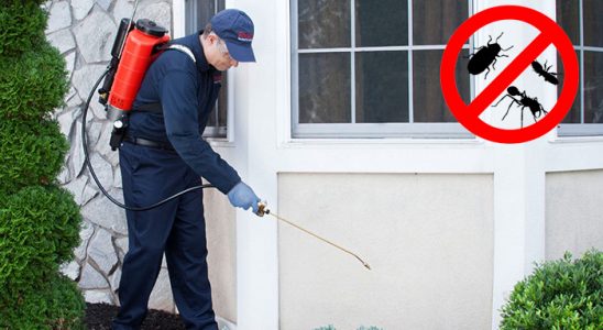 Borçka Akrep İlaçlama böcek ilaçlama ve haşere kontrolü — ilaclama-tr.com